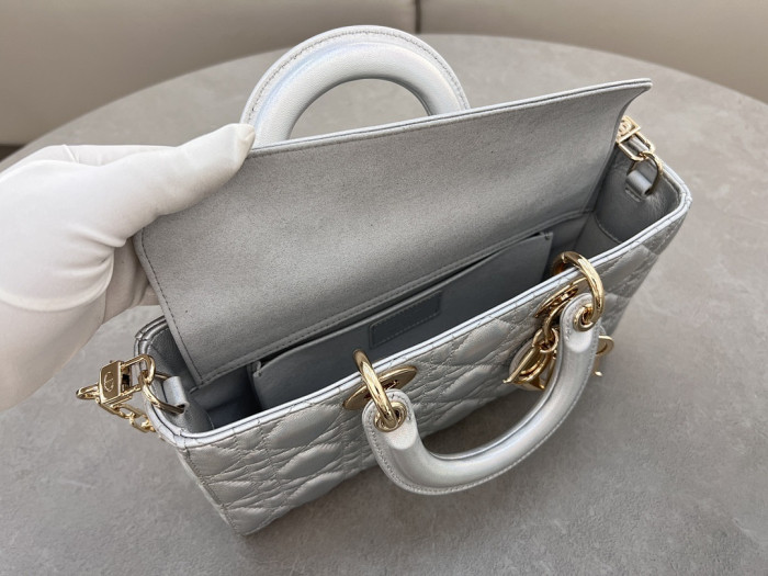 D1OR BAG 26x13.5x5cm