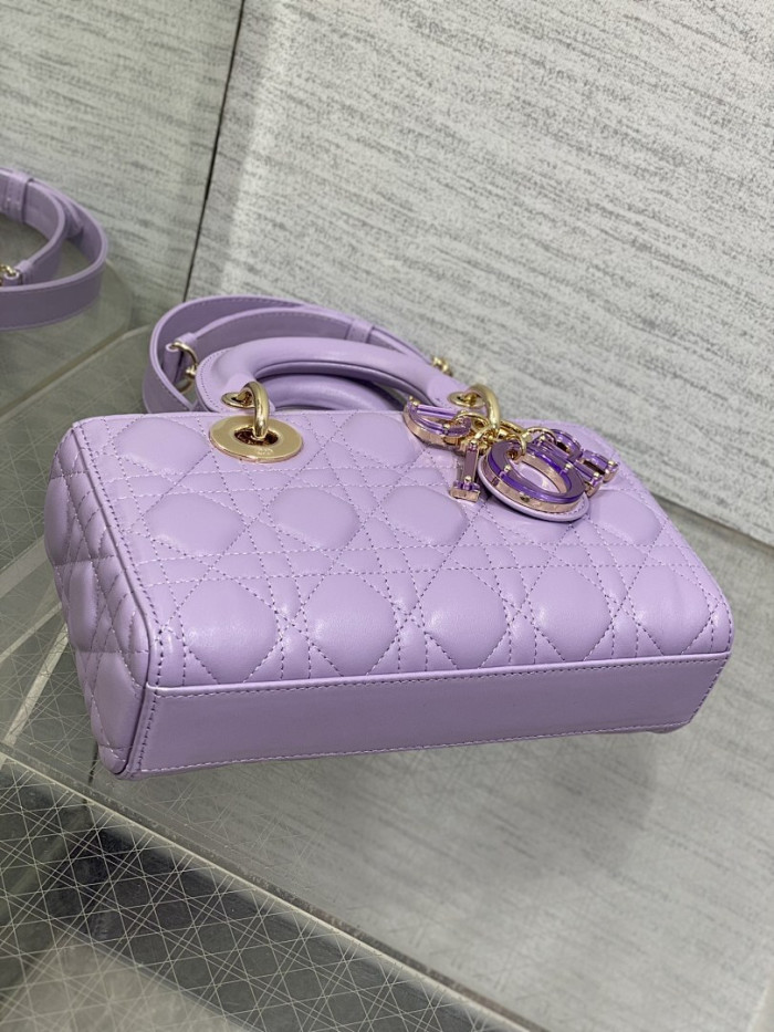 D1OR BAG 22.5x6x11.5cm