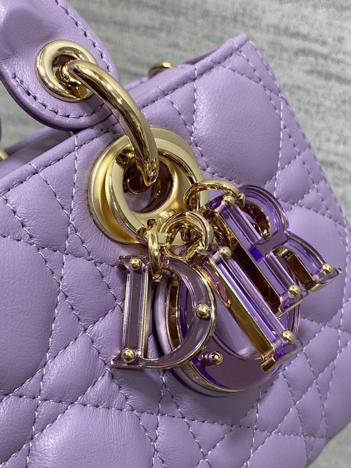 D1OR BAG 22.5x6x11.5cm