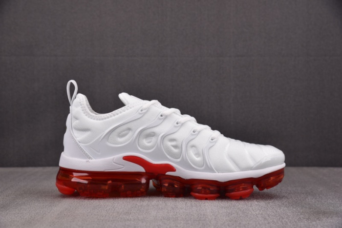 NIKE AIR VAPORMAX Plus 924453-162