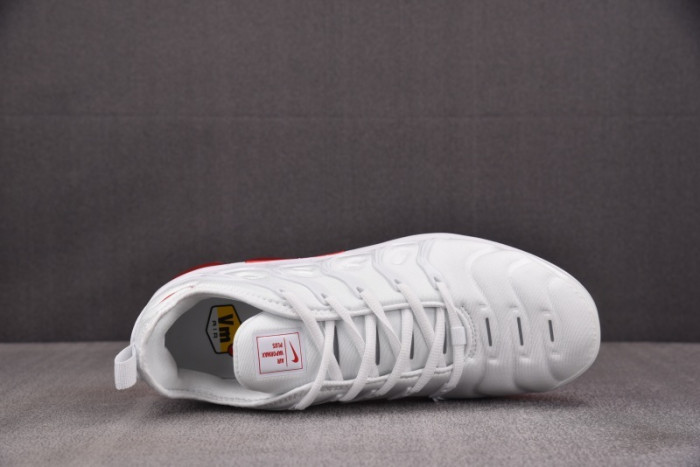 NIKE AIR VAPORMAX Plus 924453-162