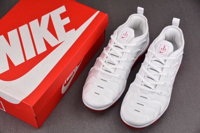 NIKE AIR VAPORMAX Plus 924453-162