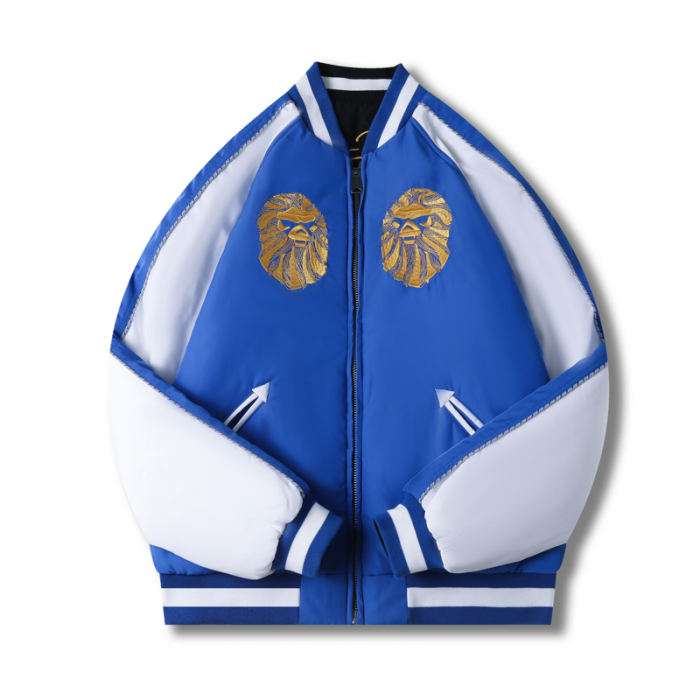 bape jacket