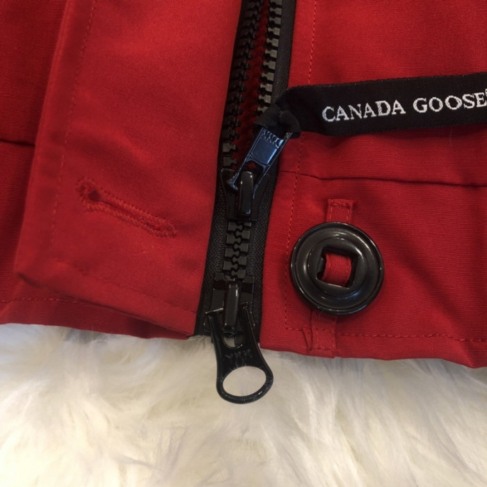 CANADA G00SE CHILLIWACK C11