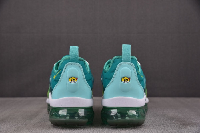 NIKE AIR VAPORMAX Plus CI9900-300