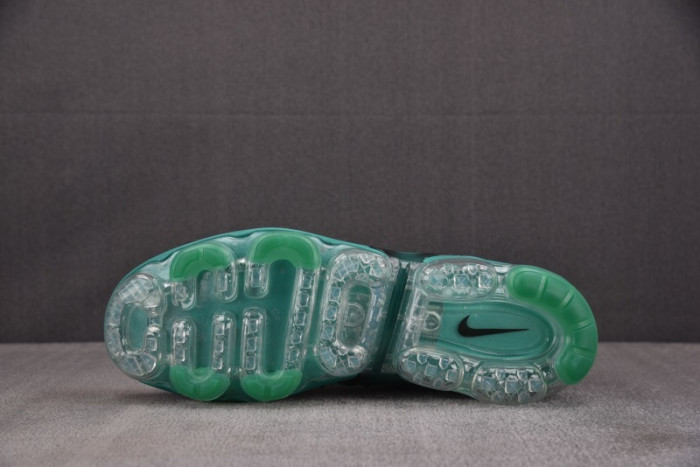 NIKE AIR VAPORMAX Plus DH0145-300