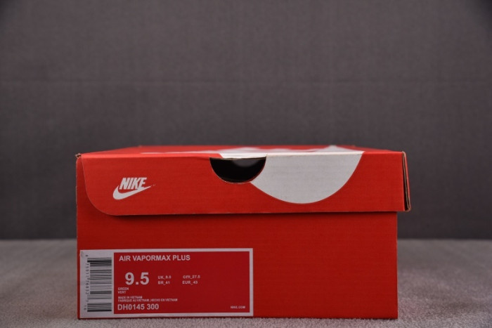 NIKE AIR VAPORMAX Plus DH0145-300