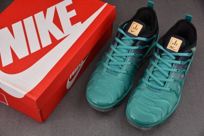 NIKE AIR VAPORMAX Plus DH0145-300