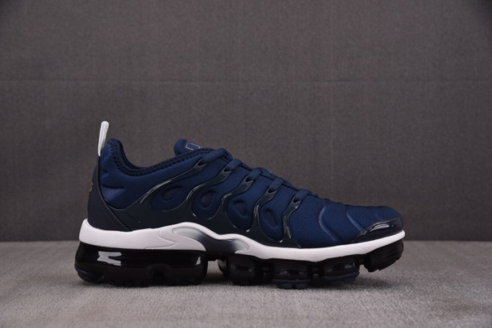 NIKE AIR VAPORMAX Plus DH0611-400