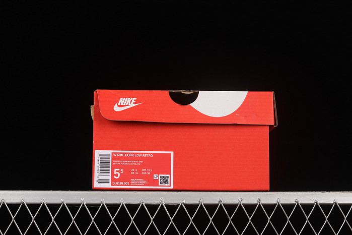 nike dunk low two tone grey dj6188-001