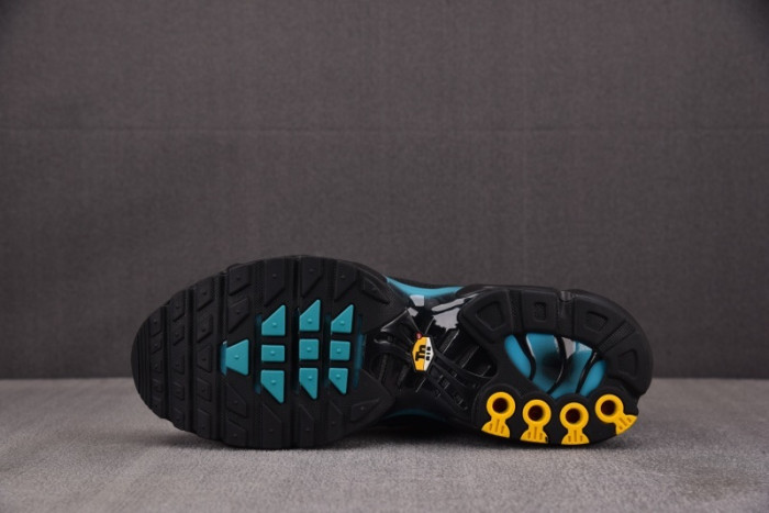 NK Air Max Plus Black Dusty Cactus DM0032-016