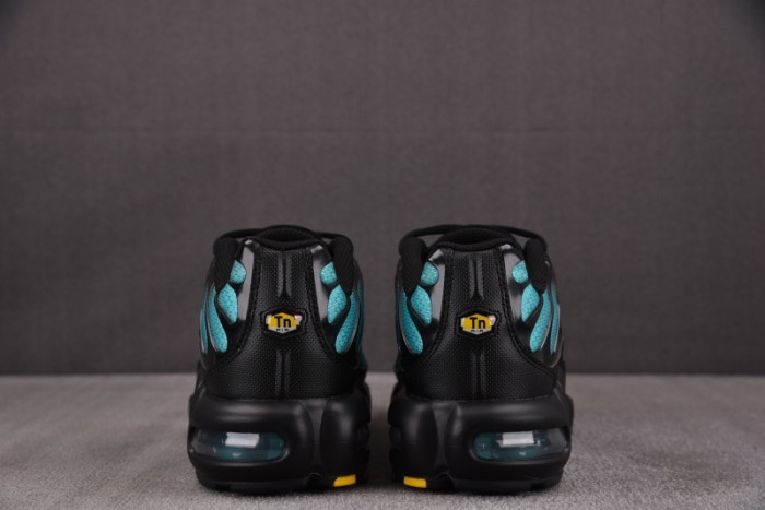 NK Air Max Plus Black Dusty Cactus DM0032-016