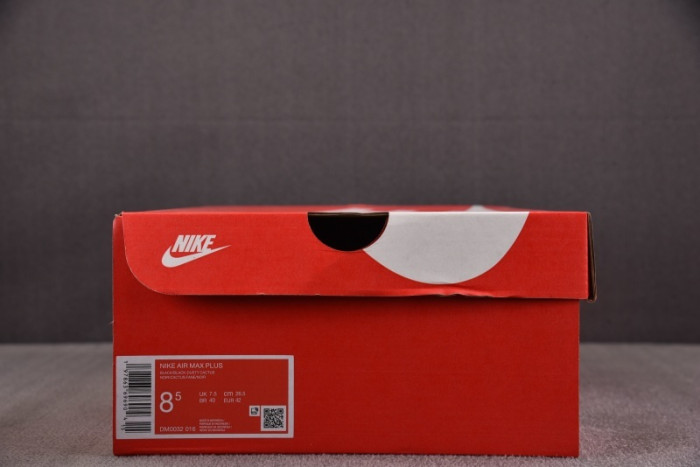 NK Air Max Plus Black Dusty Cactus DM0032-016