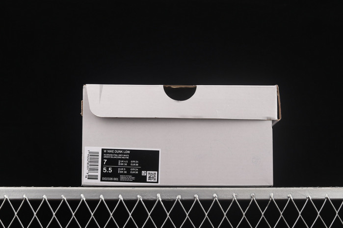nike dunk low ice - do2326-001