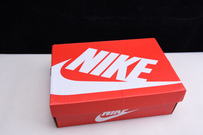 nike dunk low se