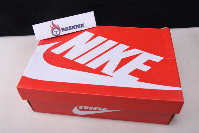 nba x dunk low emb