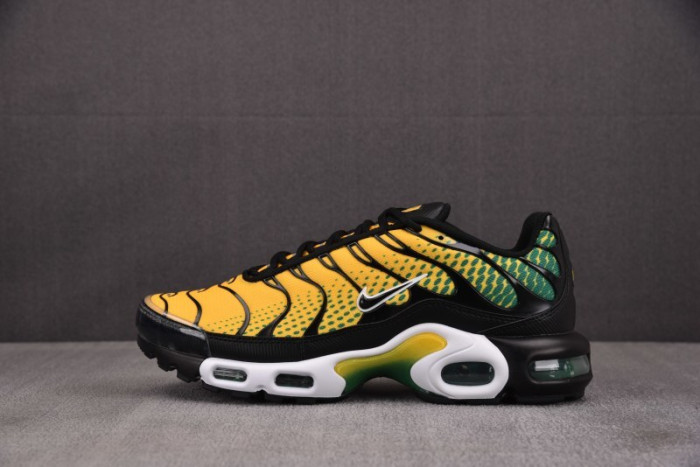 Nike Air Max Plus IB7671-700