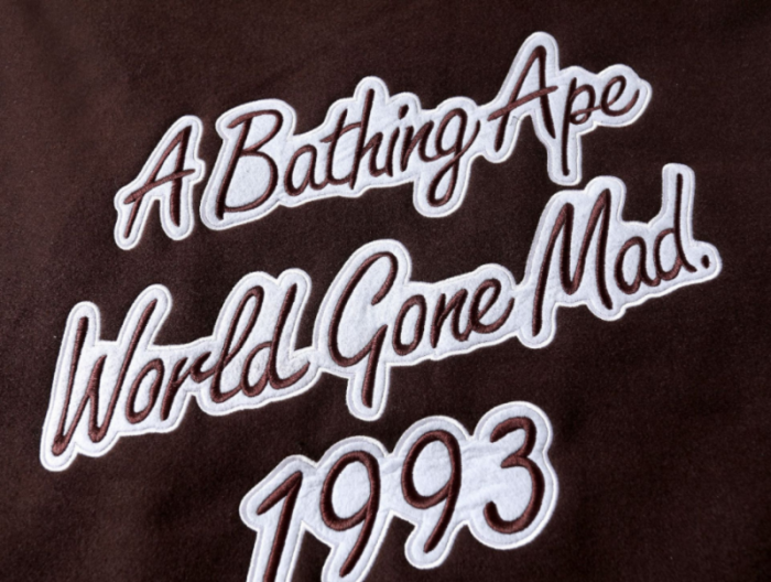 bape jacket
