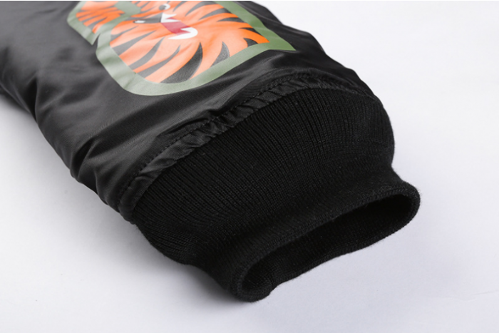 bape jacket
